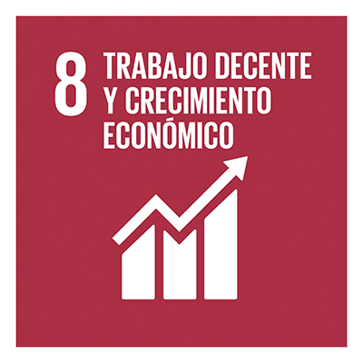 SDG-08-ESP